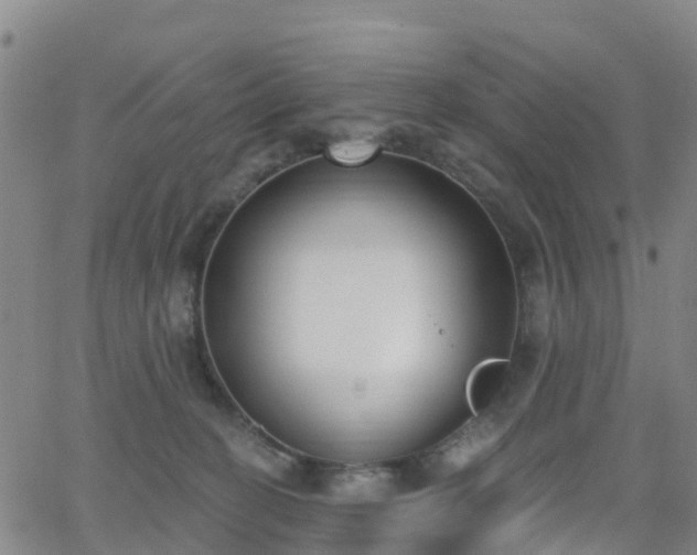 X0000064050274200601301221