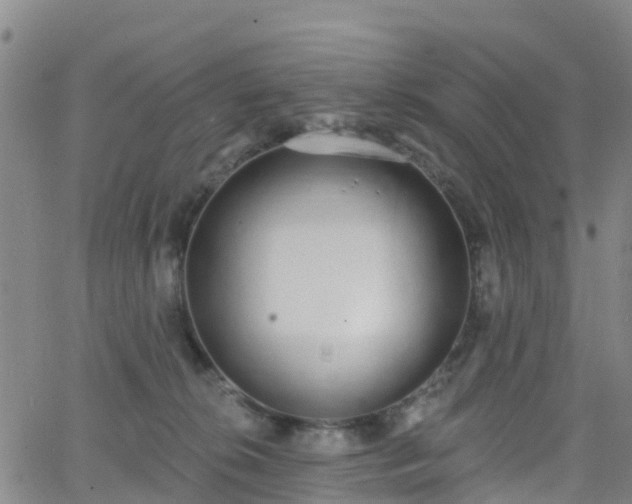 X0000064050276200601301221