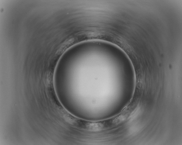 X0000064050277200601301221