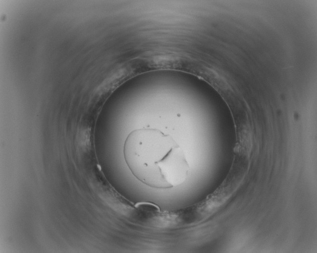 X0000064050278200601301221