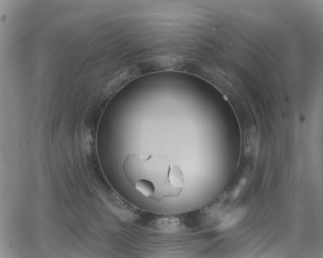 X0000064050279200601301221