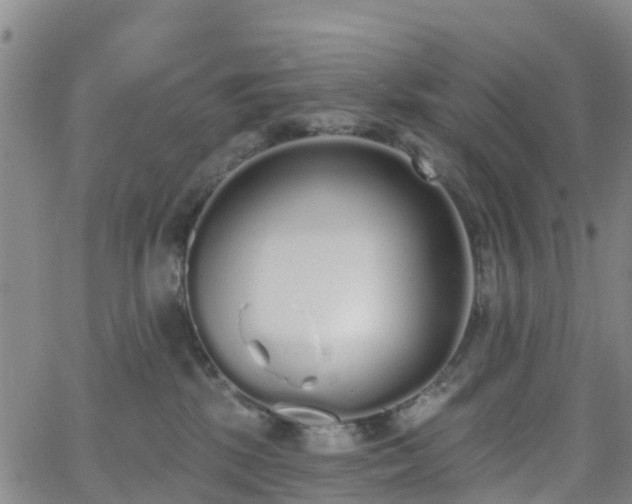 X0000064050281200601301221