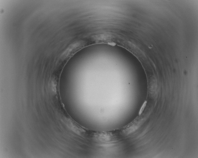 X0000064050282200601301221