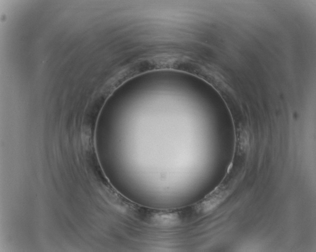 X0000064050283200601301221