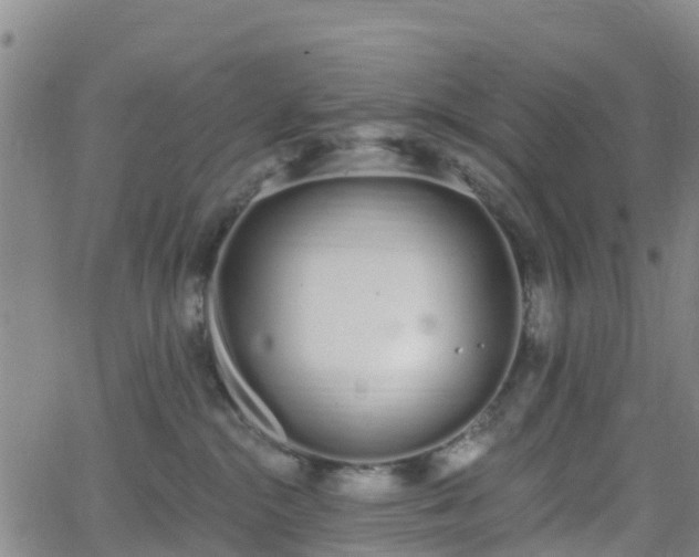 X0000064050284200601301221