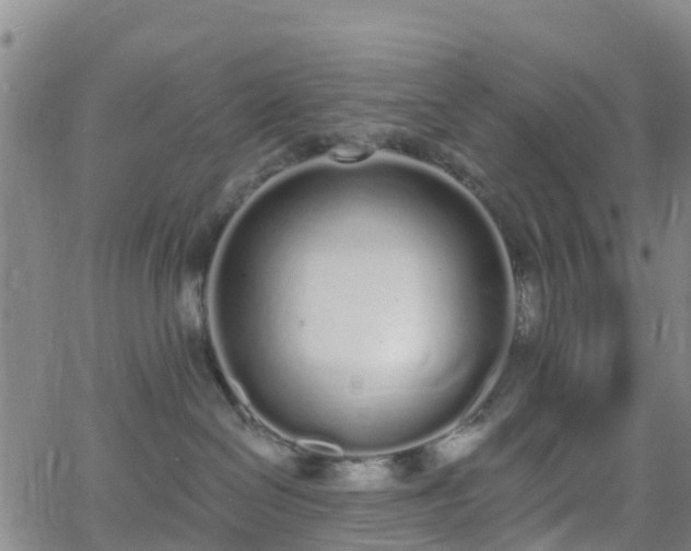 X0000064050286200601301221