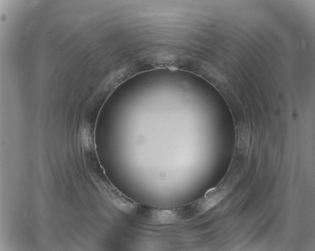 X0000064050287200601301221