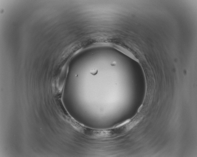 X0000064050288200601301221