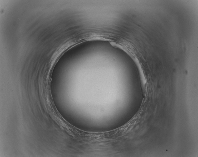 X0000064050289200601301220