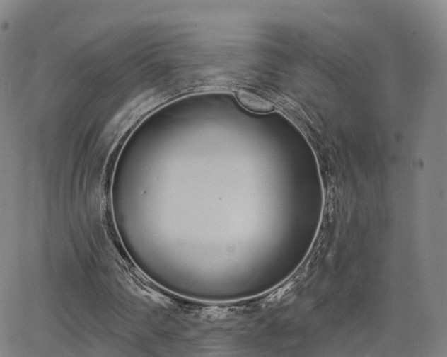 X0000064050290200601301220