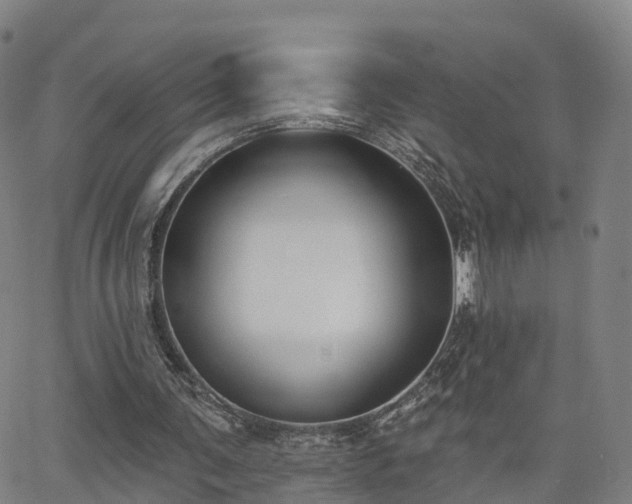 X0000064050291200601301220