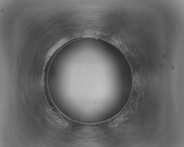 X0000064050292200601301220