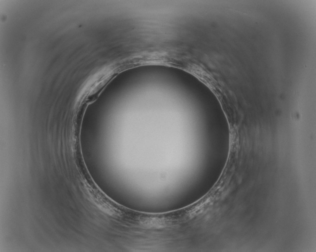 X0000064050293200601301220