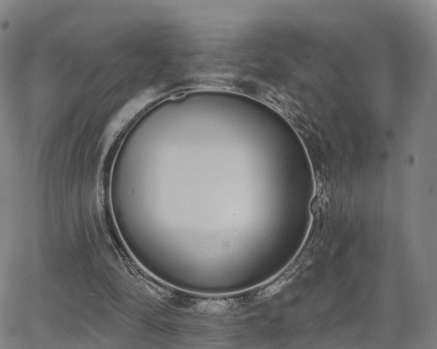 X0000064050294200601301220