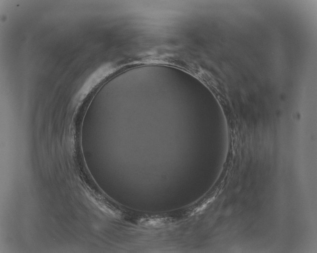 X0000064050295200601301220