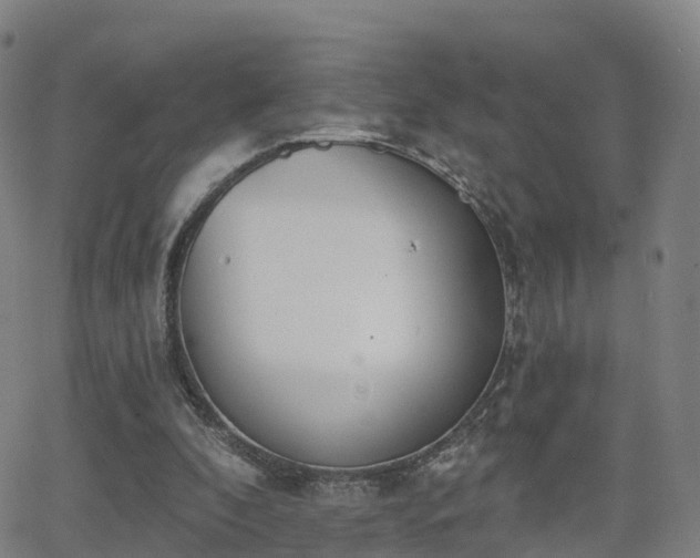 X0000064050296200601301220