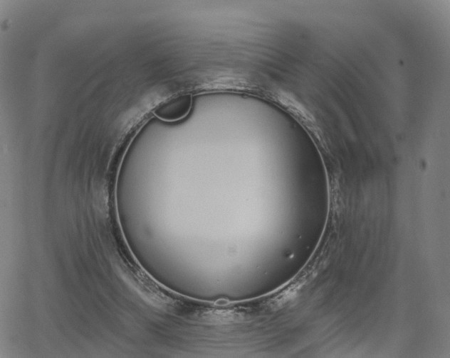 X0000064050298200601301220