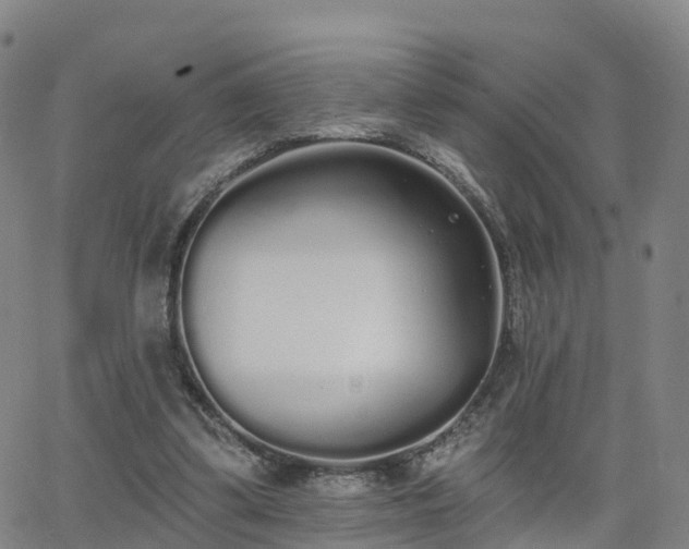 X0000064050299200601301220