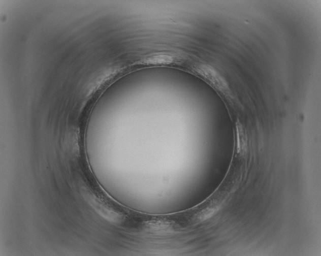 X0000064050300200601301220