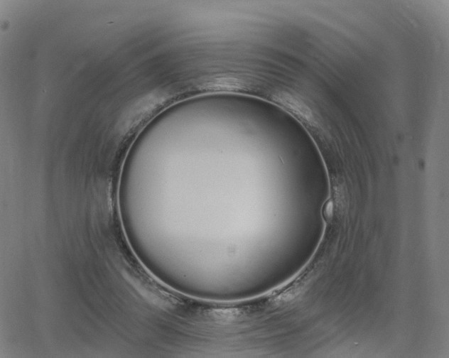 X0000064050302200601301220