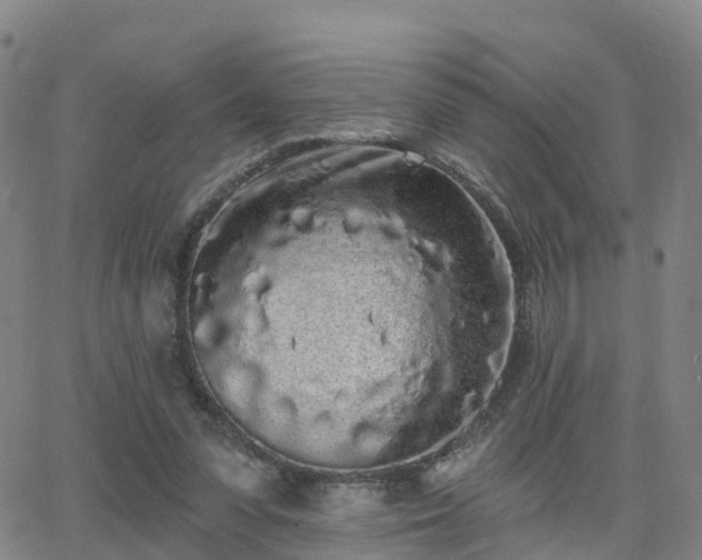 X0000064050303200601301220