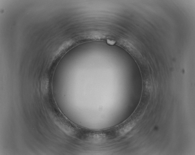 X0000064050304200601301220