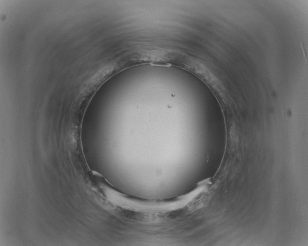 X0000064050305200601301220