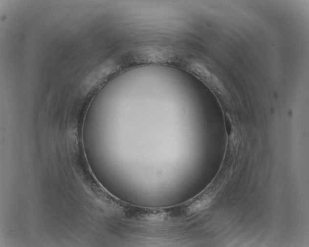 X0000064050306200601301220