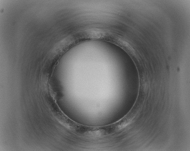 X0000064050307200601301220