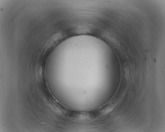 X0000064050308200601301220