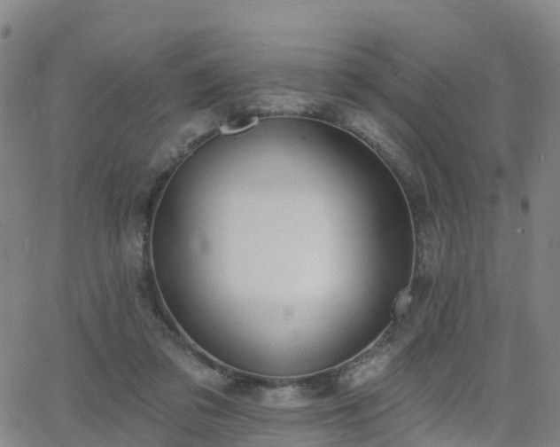 X0000064050309200601301220