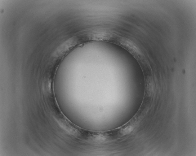 X0000064050310200601301220