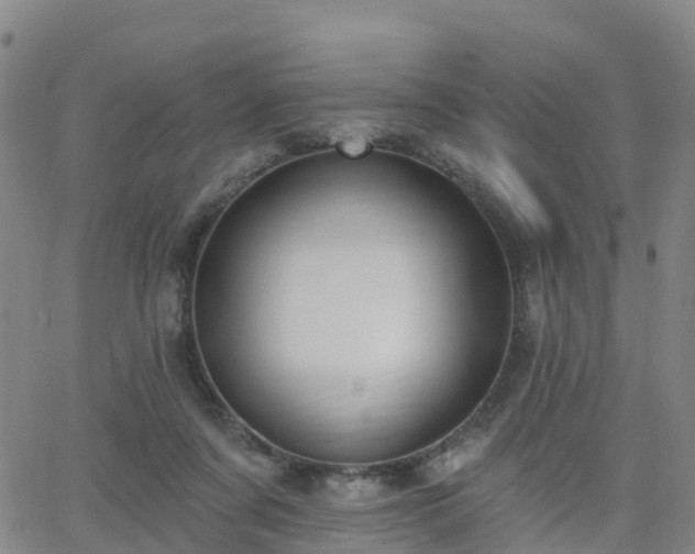 X0000064050311200601301220