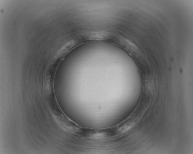 X0000064050312200601301220