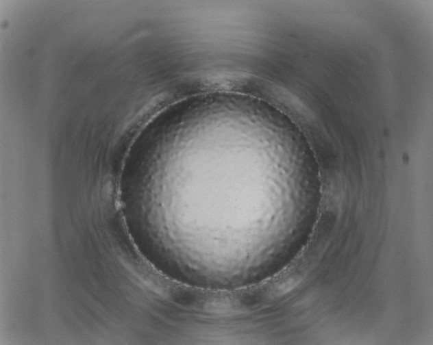 X0000064050314200601301220