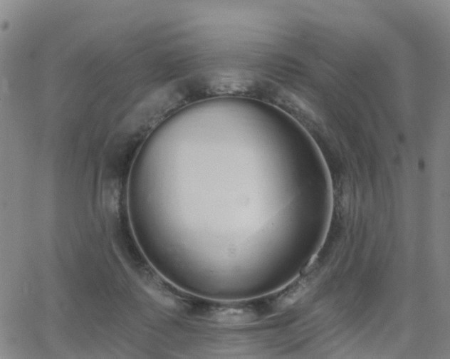 X0000064050315200601301220