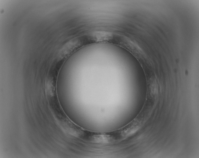 X0000064050316200601301220