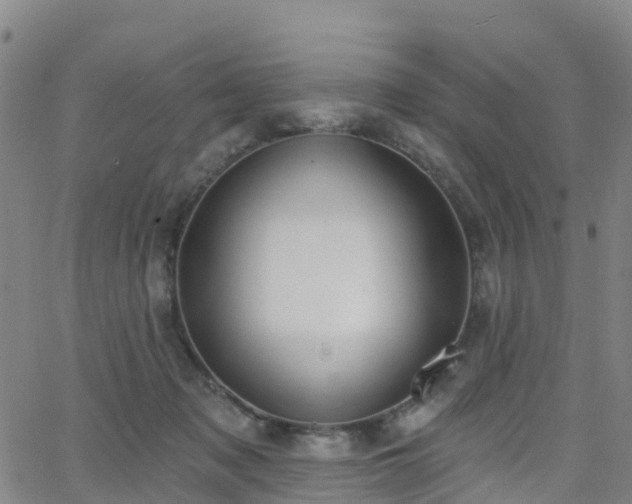 X0000064050317200601301220