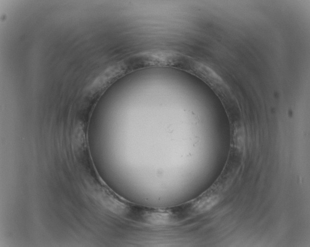 X0000064050318200601301220