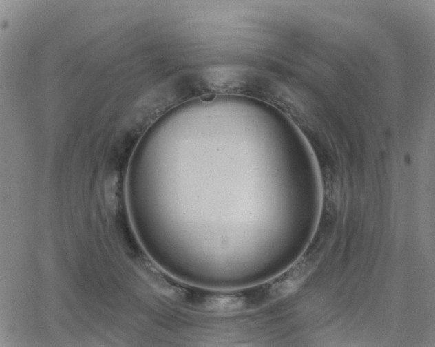 X0000064050319200601301220