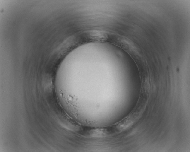 X0000064050320200601301220