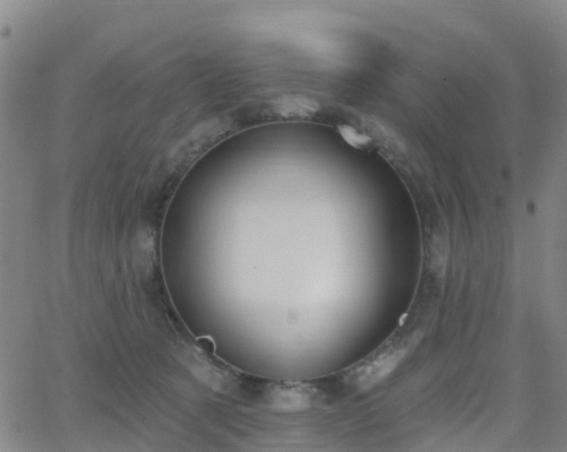 X0000064050321200601301220