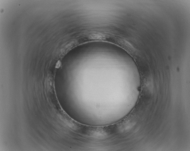 X0000064050322200601301220