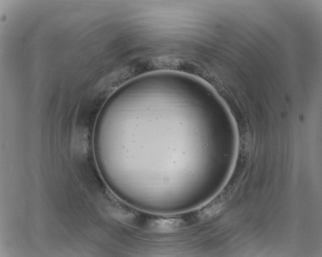 X0000064050323200601301220