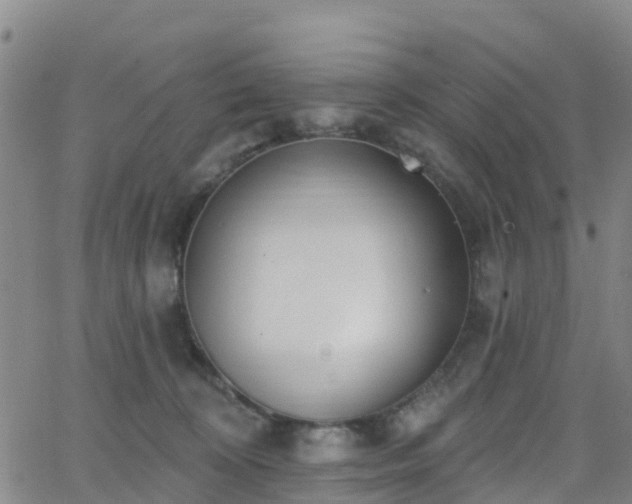 X0000064050324200601301220