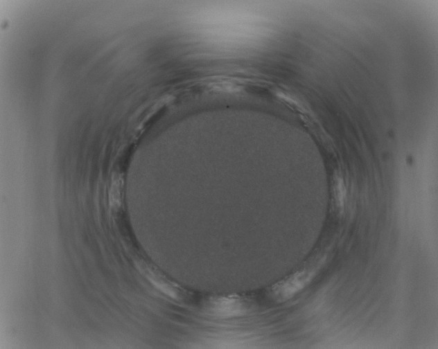 X0000064050325200601301220