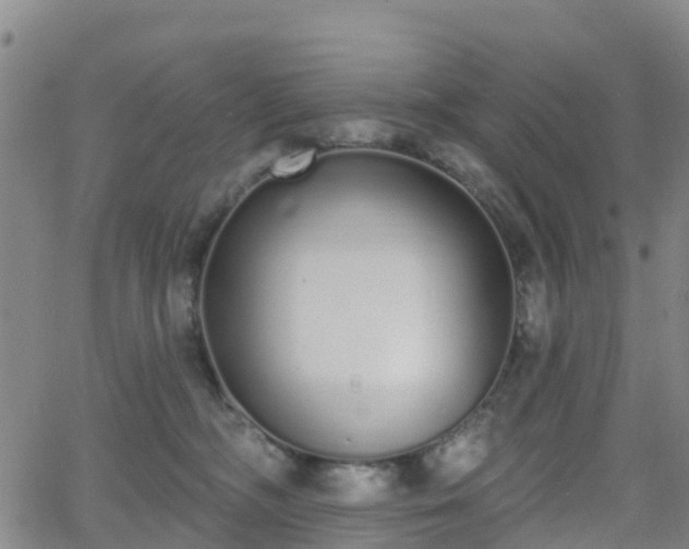 X0000064050326200601301220