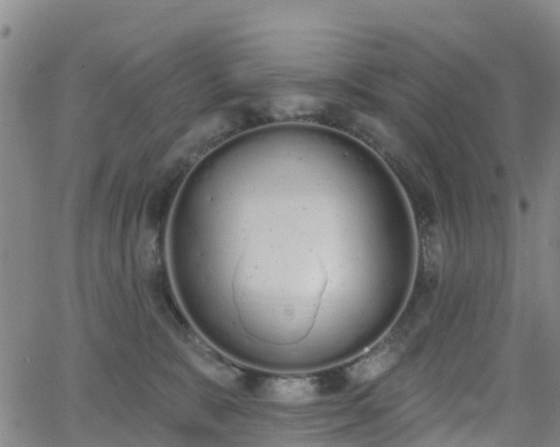 X0000064050327200601301220