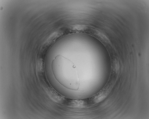 X0000064050328200601301220