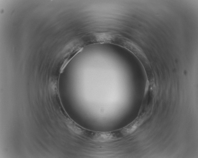 X0000064050329200601301220